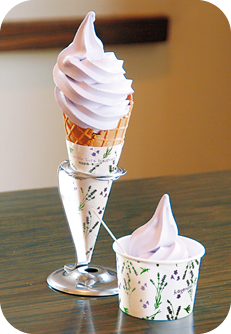 ファーム富田ラベンダーイースト限定ラベンダーホワイトチョコレートソフトクリーム