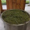 ラベンダーの蒸留作業