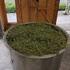 ラベンダーの蒸留作業