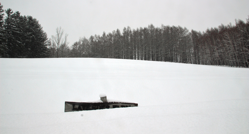 看板がここまで埋まるほど雪が積もっているトラディショナルラベンダー畑