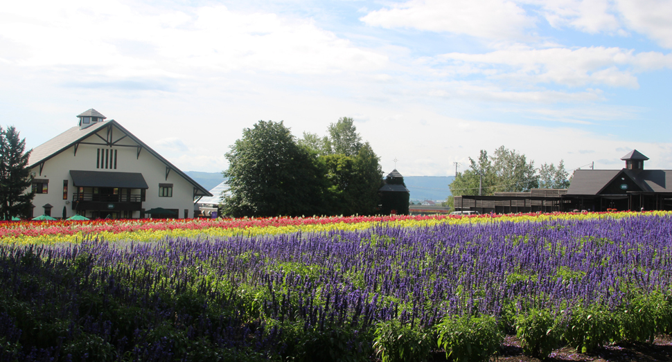 花人の舎の前にはケイトウやサルビアの咲く「花人の畑」が広がっています
