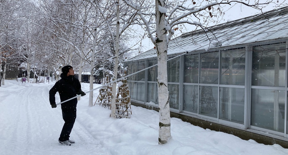 グリーンハウスの雪おろし