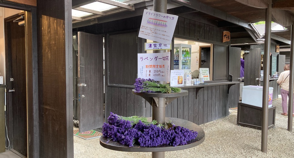 切花の販売が始まりました「濃紫早咲」