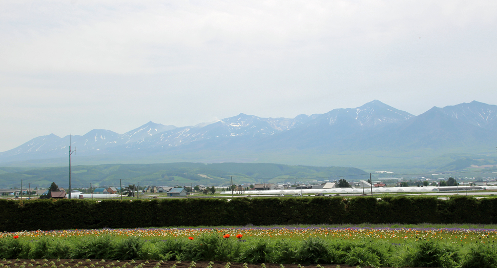 十勝岳連峰と春の彩りの畑