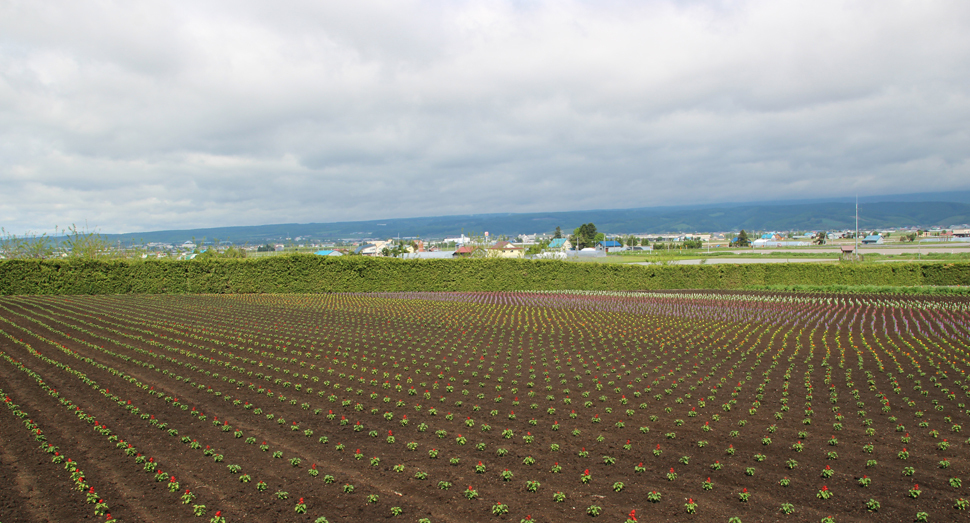 朝からの雨の影響か今日は少し肌寒いです