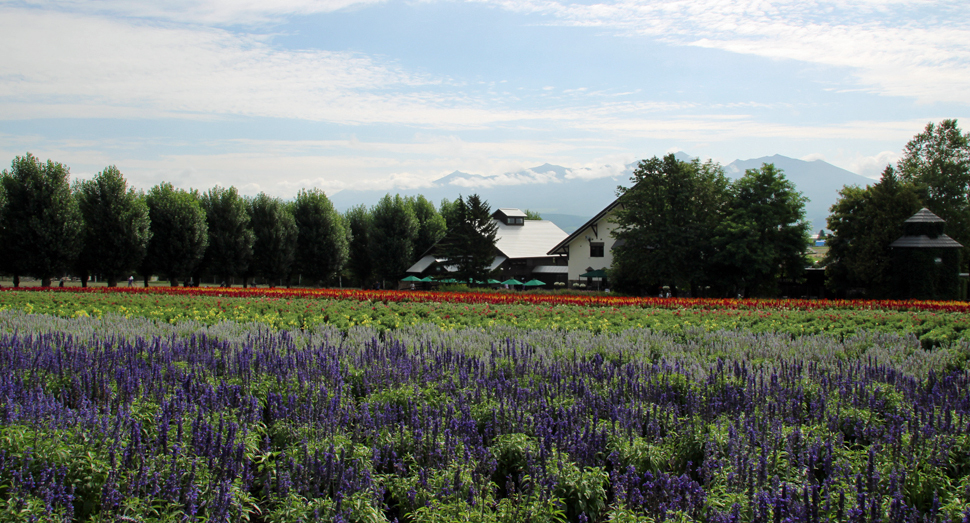 花人の畑と十勝岳連峰