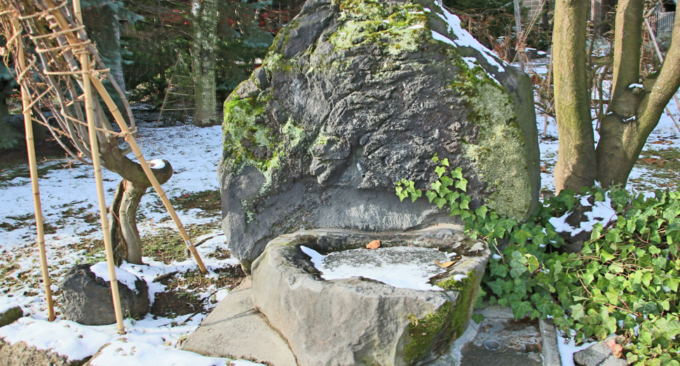 水場の水面が凍っていました