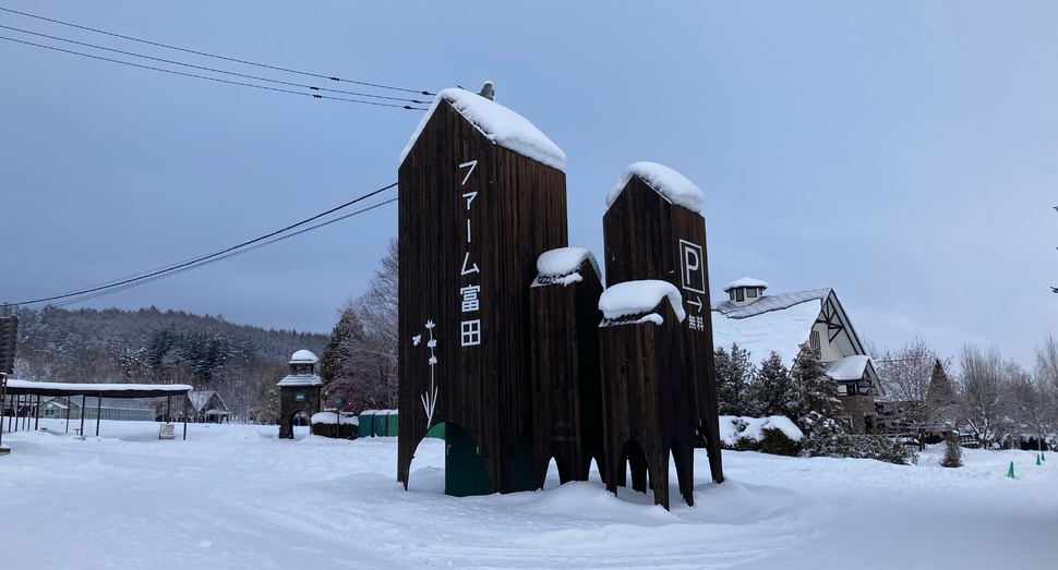 今の所は雪が少なめです