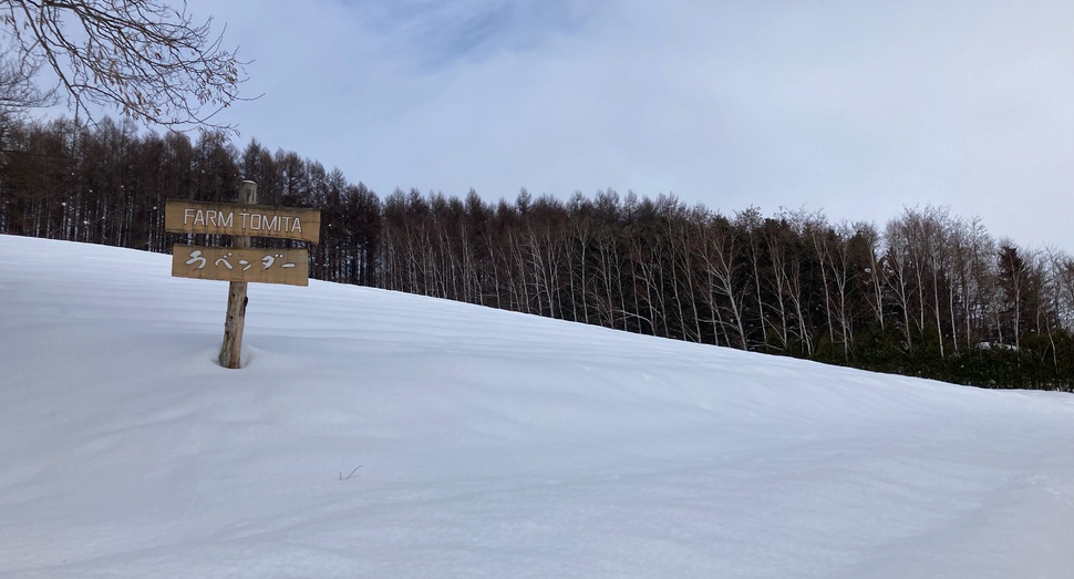 雪に覆われた「トラディショナルラベンダー畑」