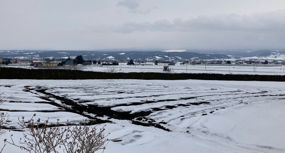 融雪剤散布後の「秋の彩りの畑」