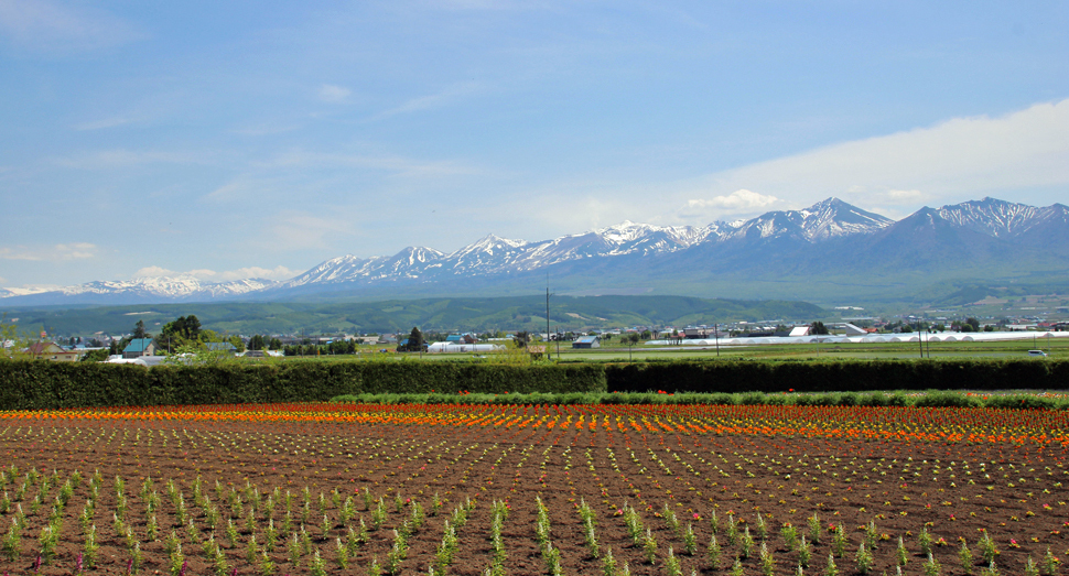 十勝岳連峰の山々がきれいに見られます