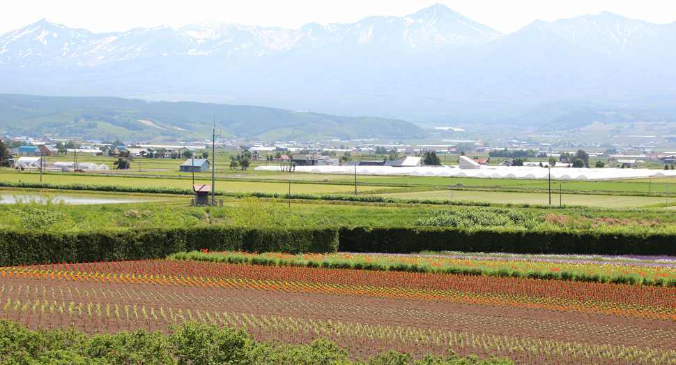 ポプリの舎デッキからの風景