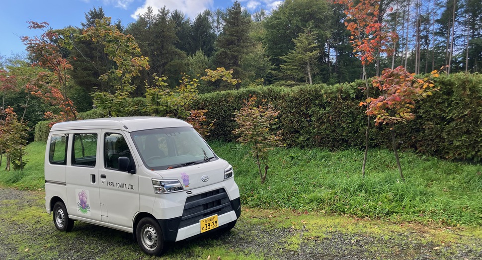 紅葉が進んでいます