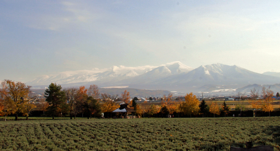 山頂部は雪が積もったままです