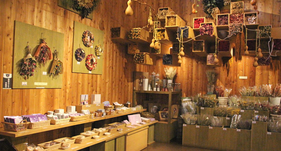 本日はあいにくの雨模様ですが･･･