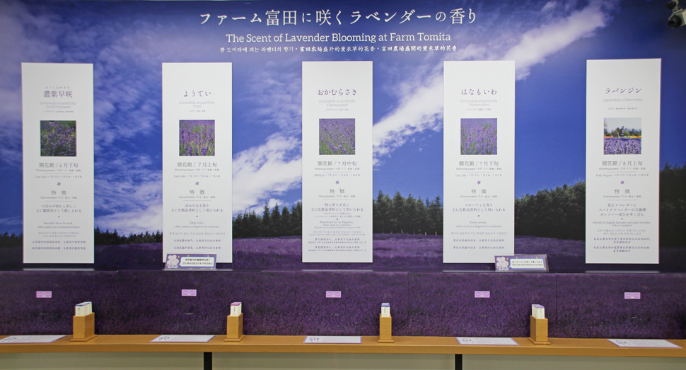 香りのしおり作りなど屋内施設でお楽しみください