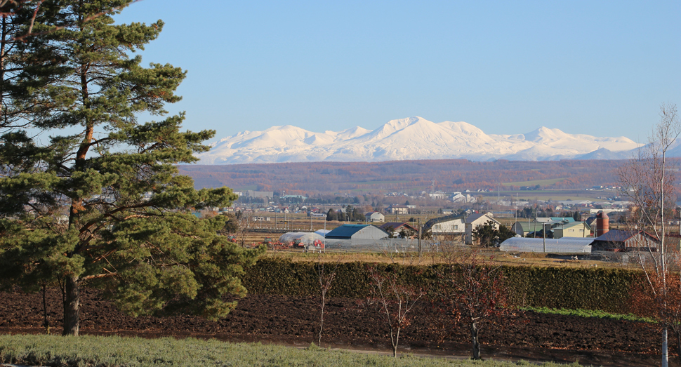 大雪山系の山々もはっきり見えています