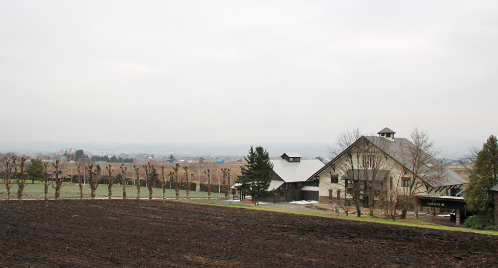 今日は小雨のファームです