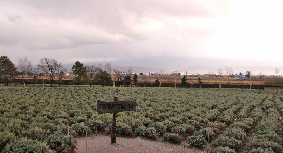倖の畑と雲に覆われた十勝岳連峰