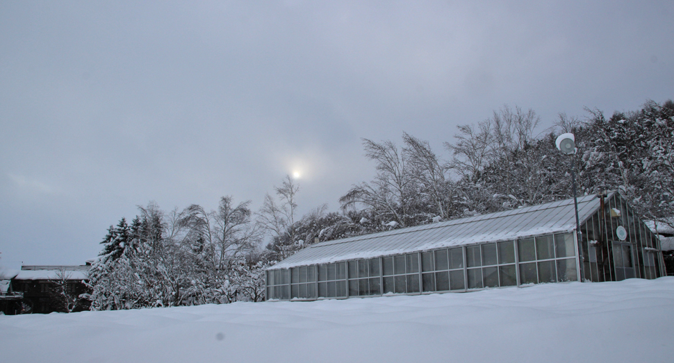 かなり低い位置にある午後2時の太陽