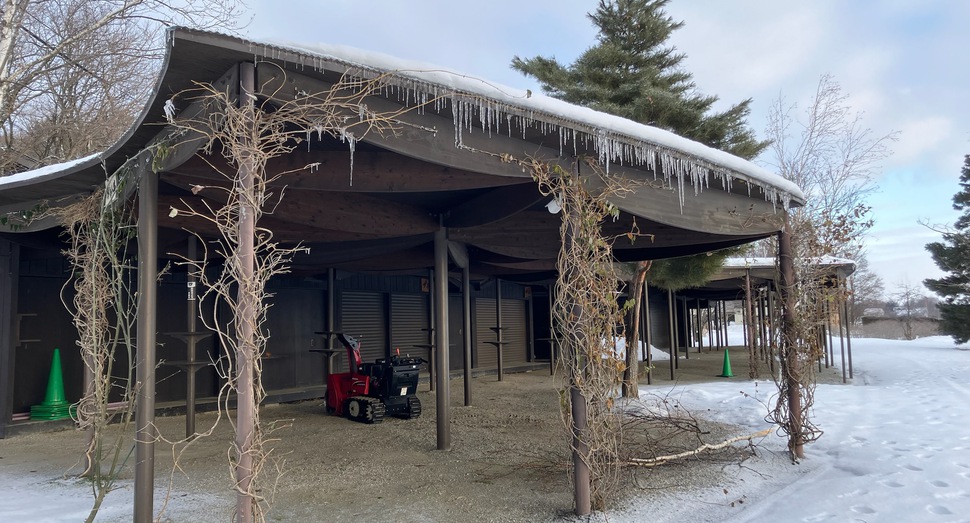 プチショップにつららが出来ていました