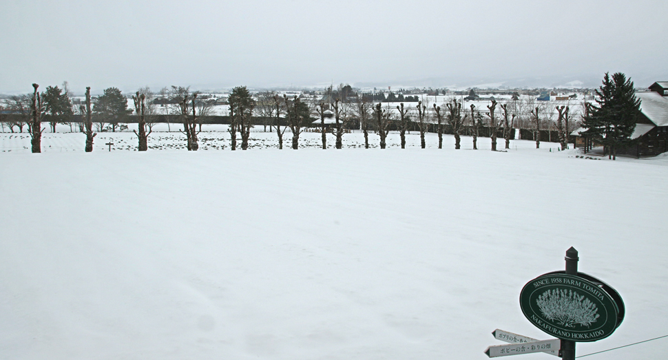 ファーム富田は年末年始も営業しています