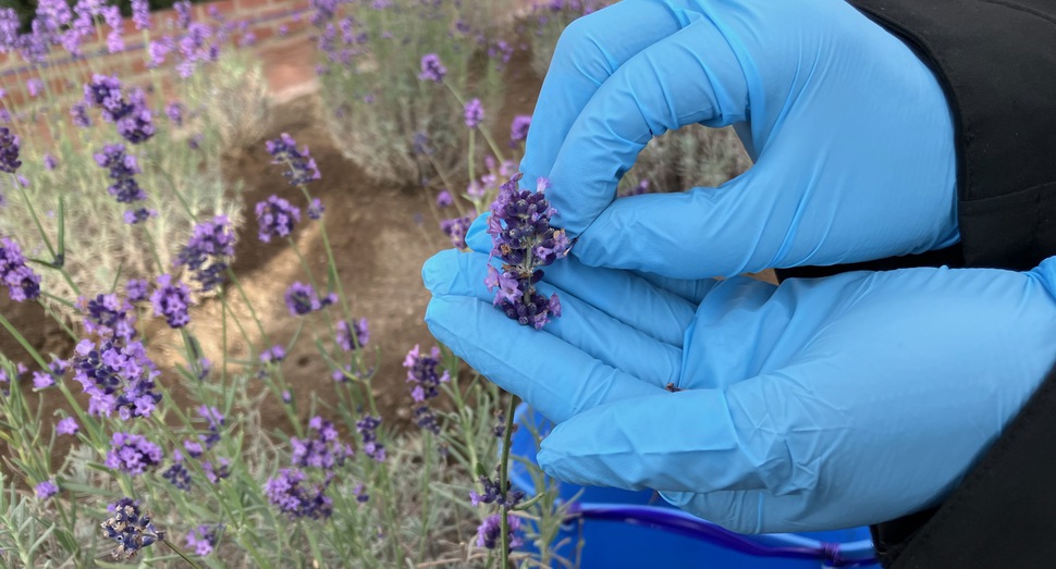 1本1本手作業です