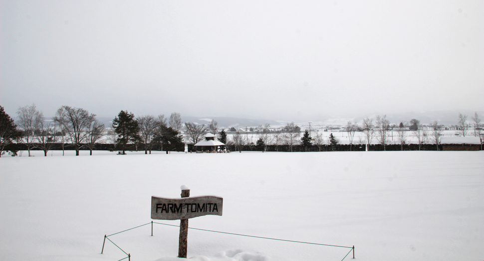 真っ白な倖の畑