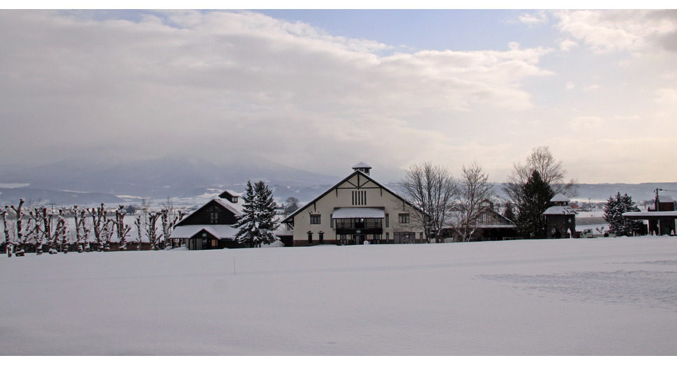 薄く日が差す朝の園内です(花人の畑)