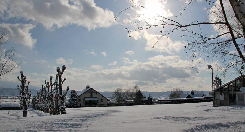 グッと冷え込みましたが、空気が澄んで気持ちが良いです