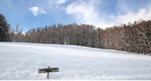 様々な雪景色をお楽しみください