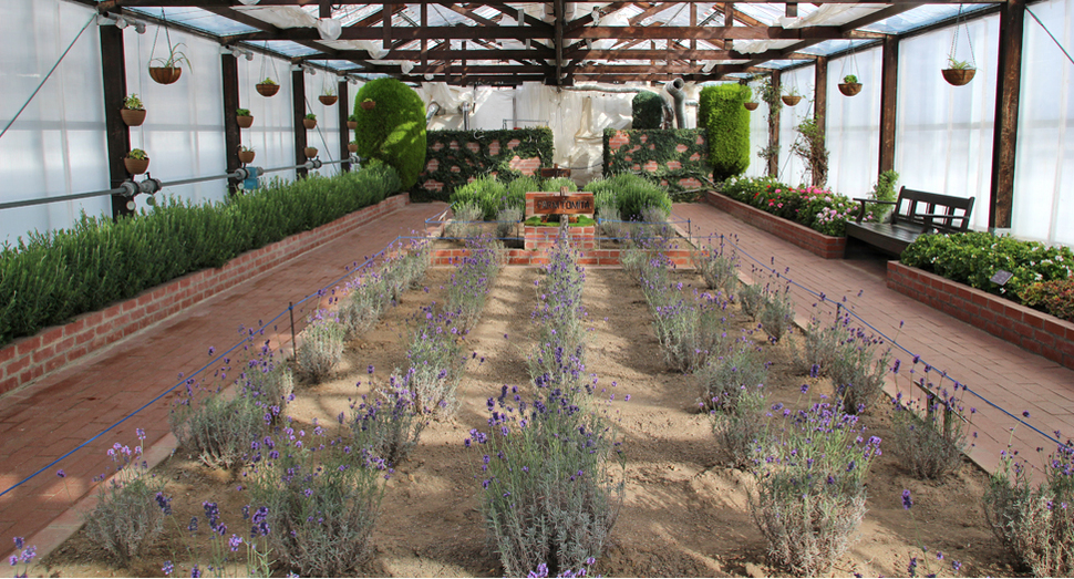 温かな光に包まれている温室