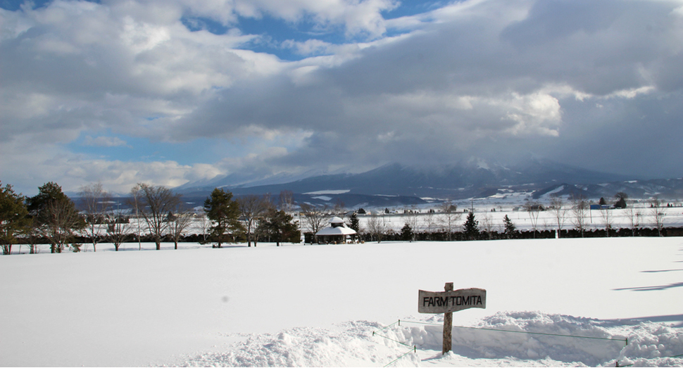 風が強いので雲の流れが速いです