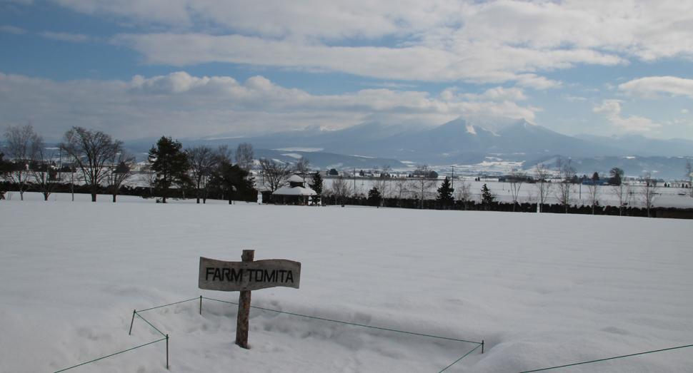 風もなく穏やかな日です