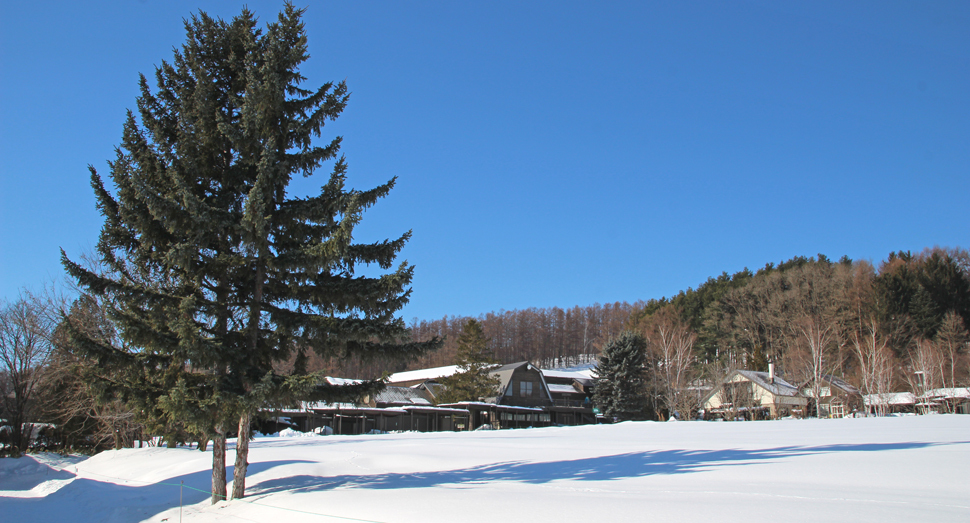 青空が広がり陽射しに温もりを感じます