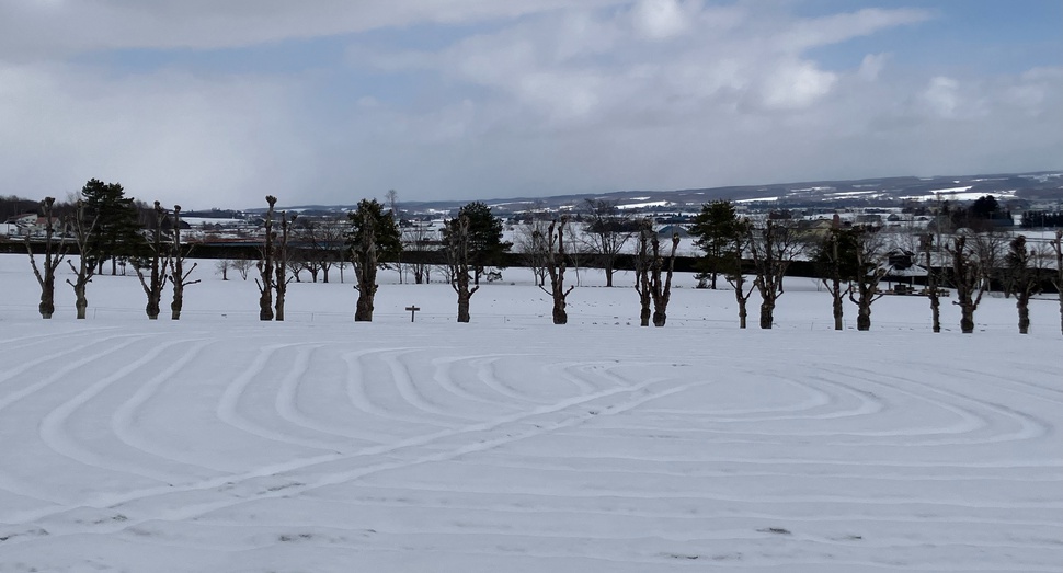 パッサージュから花人の畑