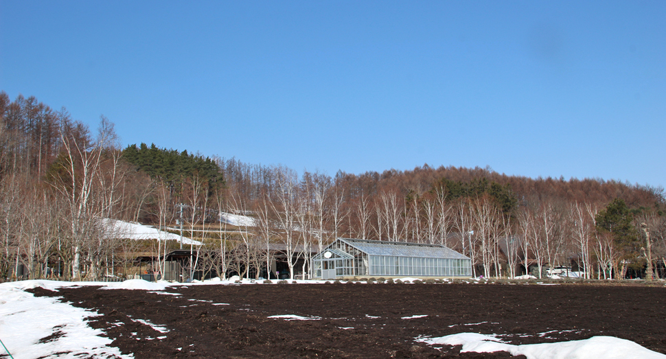 天気が良く、朝の気温も高めです