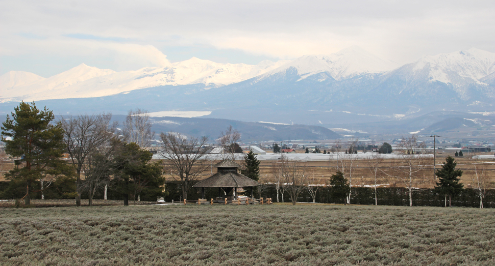 雪を抱く十勝岳連峰