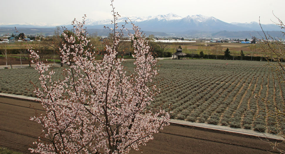 新設の倖の小路展望デッキからの眺め