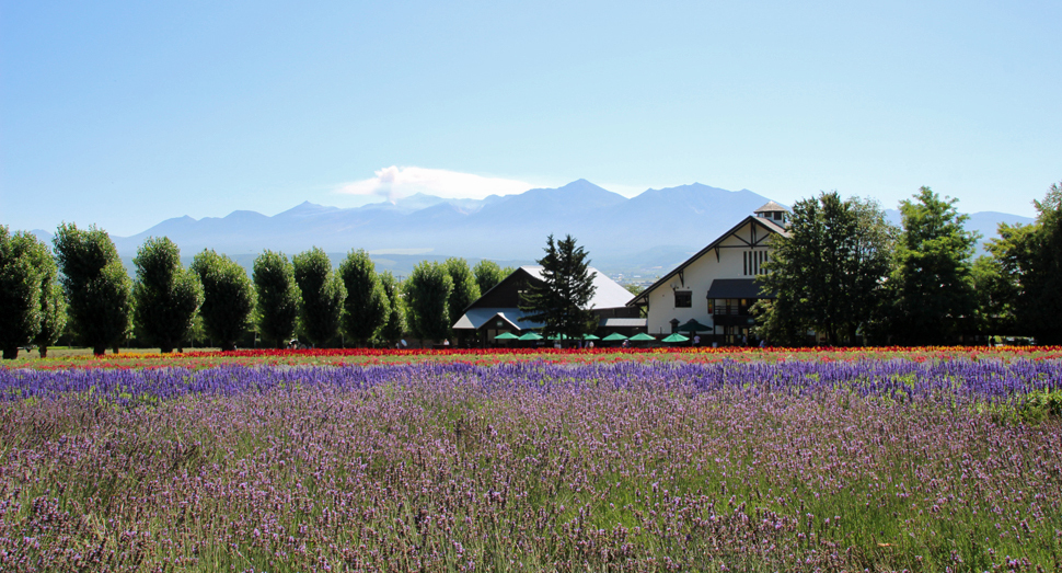 花人の畑と十勝岳連峰