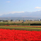 天気が良く散策日和です