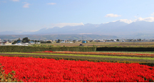 天気が良く散策日和です
