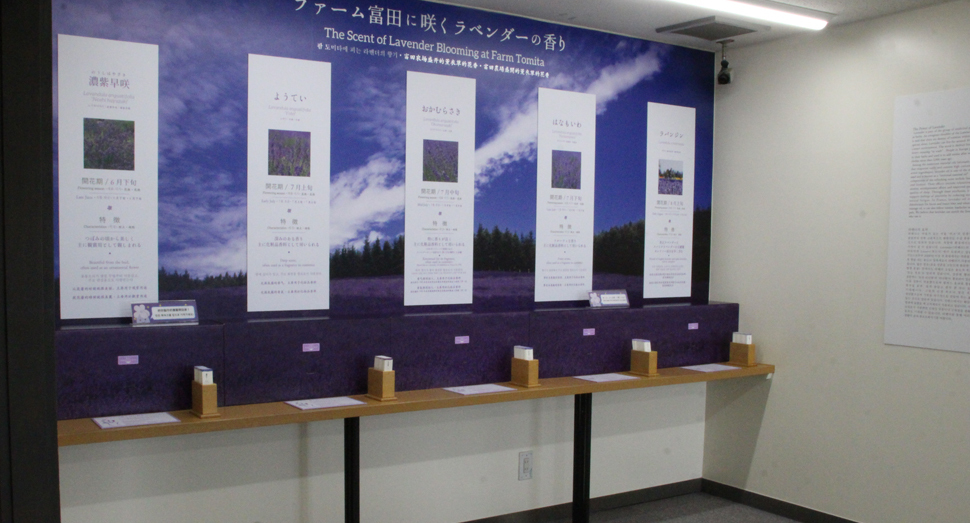 花人の舎2階の香りの体験室ではラベンダーの品種の違いをお試しいただけます